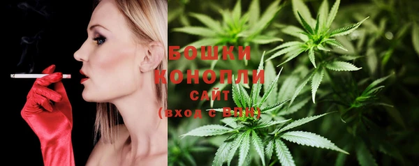 хмурый Дмитров