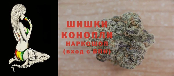 кокс Ельня