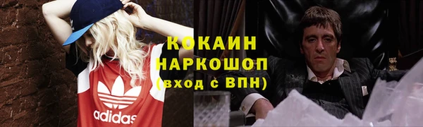 гидропоника Дмитриев