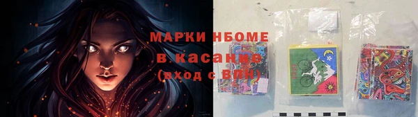 гидропоника Дмитриев