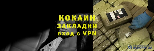 гидропоника Дмитриев