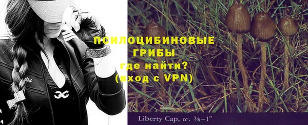 хмурый Дмитров