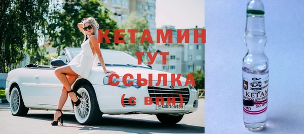 хмурый Дмитров