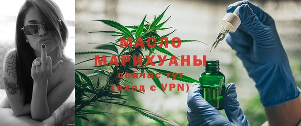 гидропоника Дмитриев