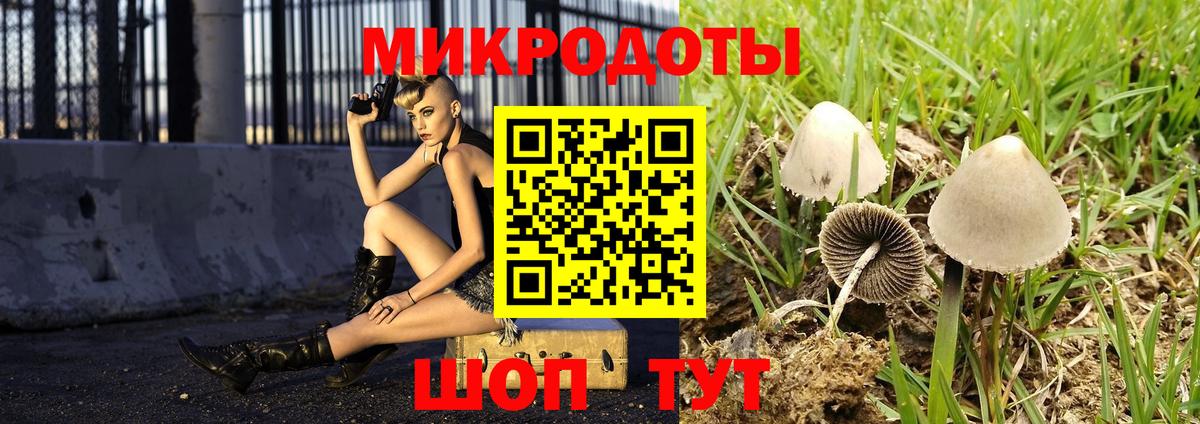 Псилоцибиновые грибы Psilocybine cubensis Елабуга