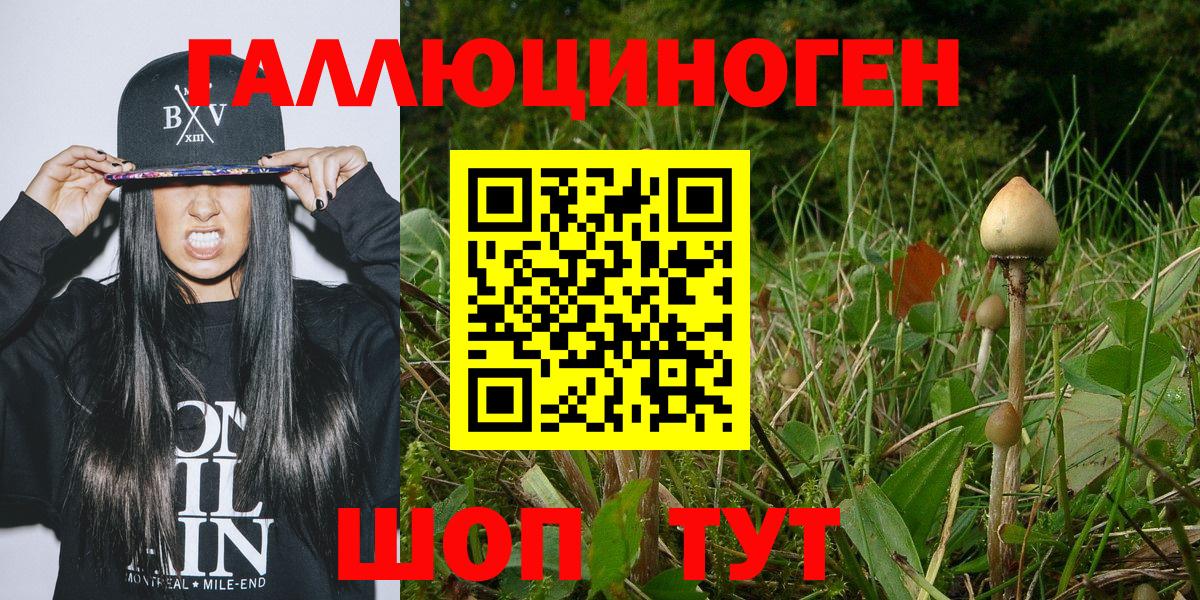 Галлюциногенные грибы прущие грибы  Елабуга 