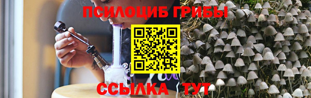 Галлюциногенные грибы Psilocybe Елабуга