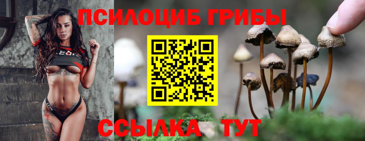 Псилоцибиновые грибы мицелий  Вход с VPN  Елабуга  Псилоцибиновые грибы мицелий 