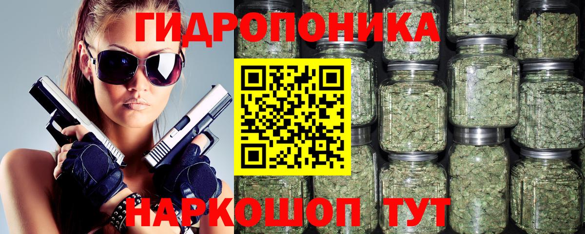Каннабис индика Елабуга